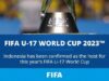 Tuan Rumah Piala Dunia U-17